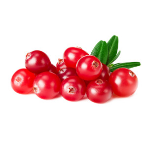 kleines Häufchen rote Preiselbeeren mit Blättern